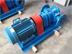 LZB無堵塞轉子泵